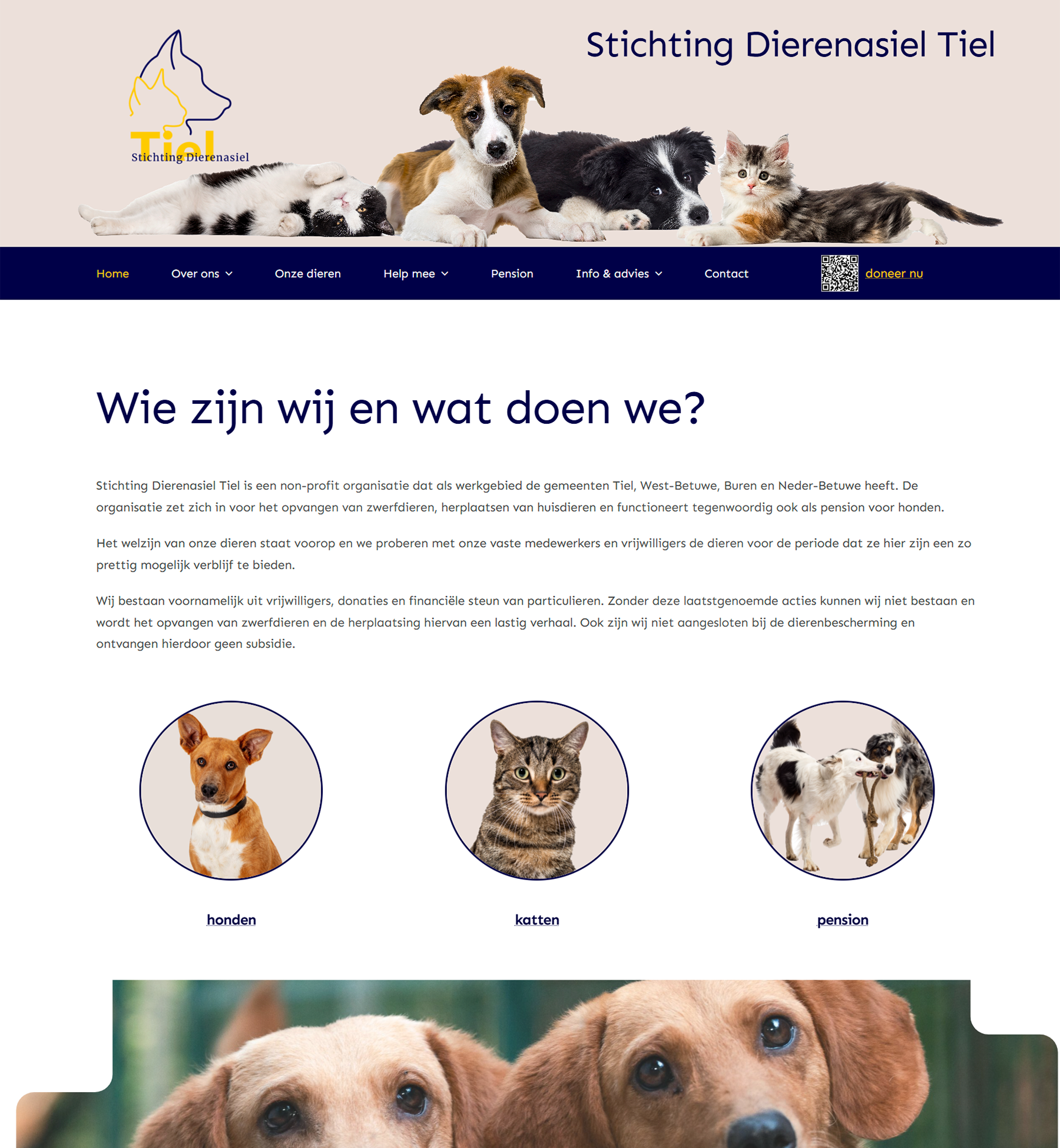 dierenasieltiel-website MarHa WebDesign WordPress Avada Webbouwer